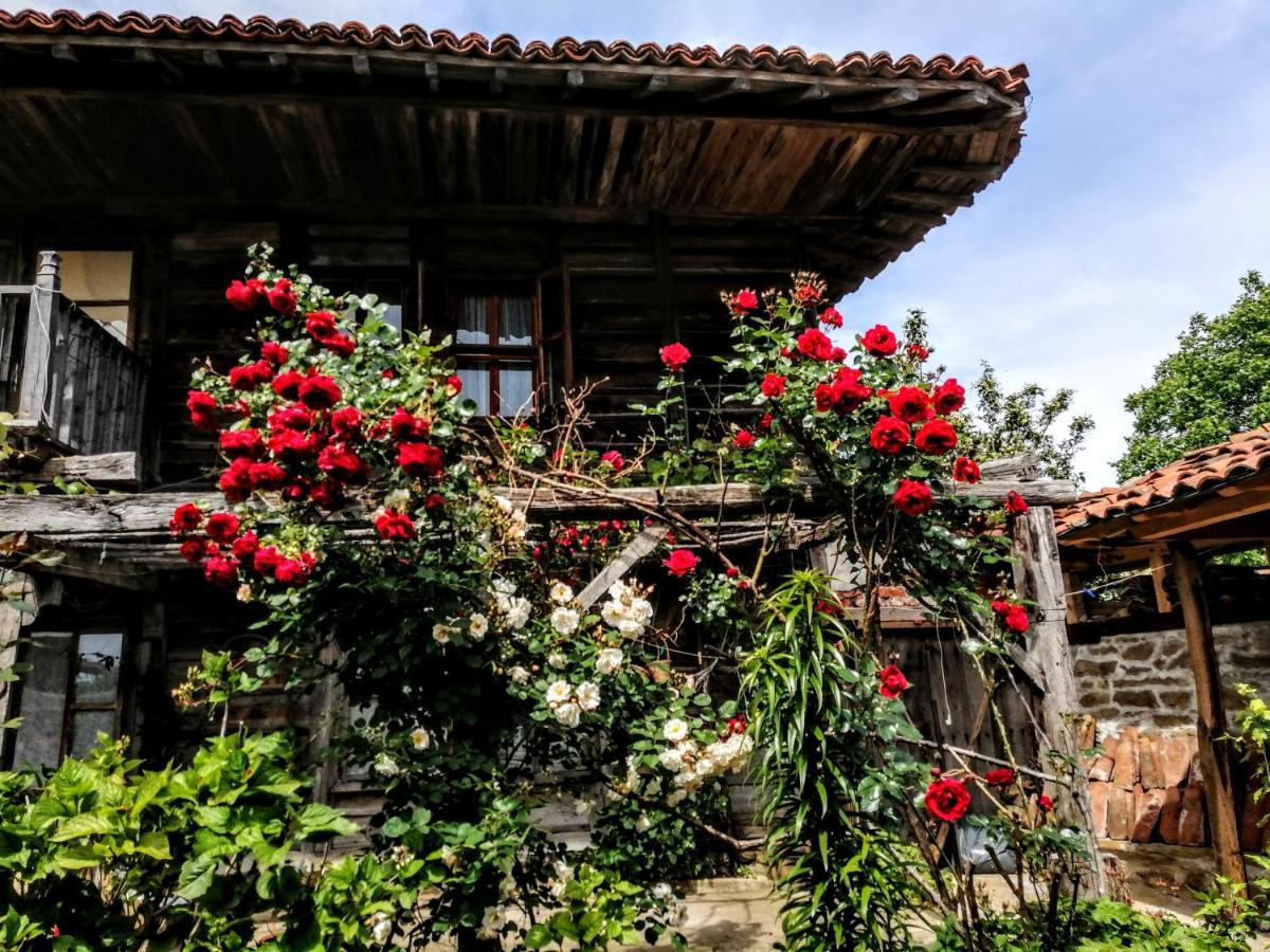 Къщата На Художника Hotell Zjeravna Exteriör bild